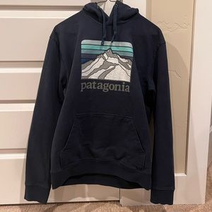 Patagonia Hoodie Mens Medium